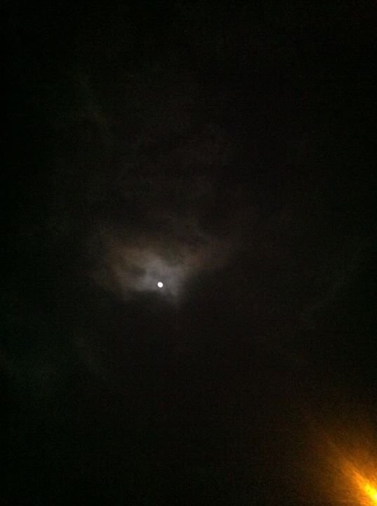Michelle Lewis' album, iOS Photos