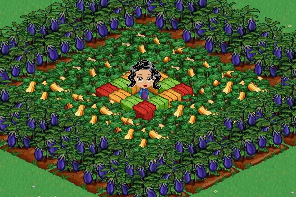 Loriann Wenzel's album, FarmVille Photos