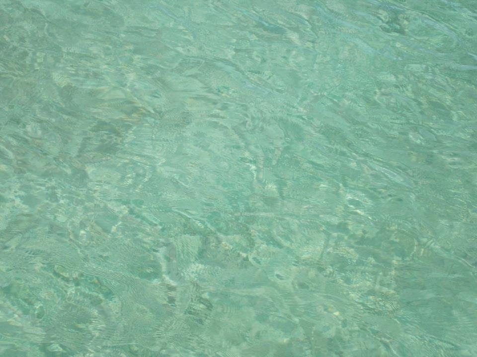 Mina Chamorro's album, Mobile Uploads