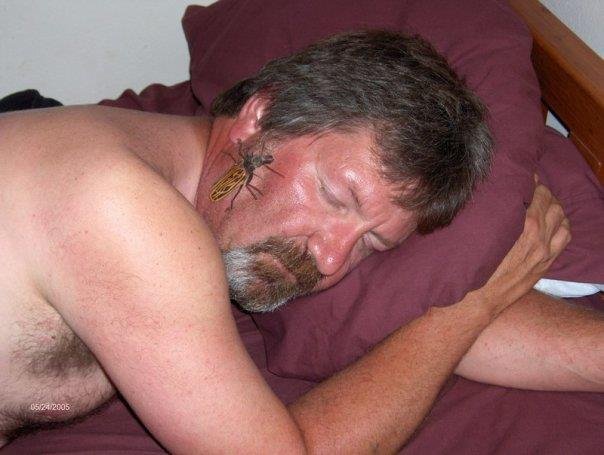 Rick Anderson's album, Profile Pictures