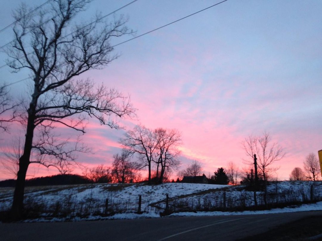 Nancy Cron's album, iOS Photos