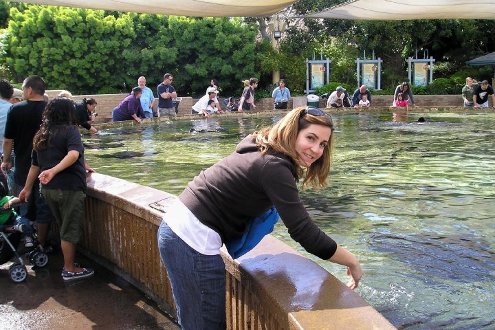 Jean Pizzola's album, Seaworld and Arizona