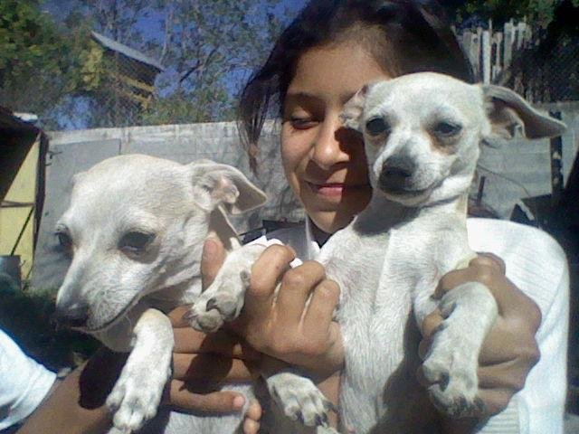 paula rivera's album, Photos from Nintendo DSi