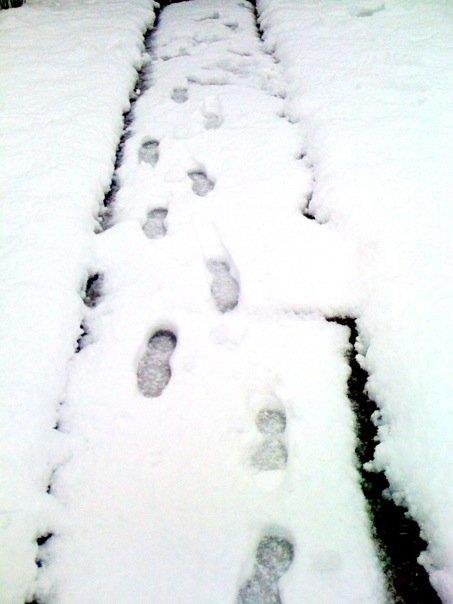 Erin Duffield's album, Winter Wonderland!!!