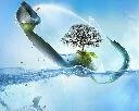 George Robinson's album, Mobile Uploads