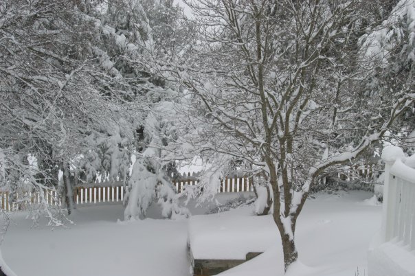 Chuck Mertz's album, Blizzzard of 2010