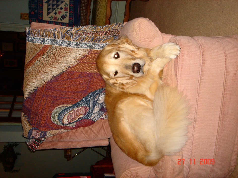 Dale Lockamy's album, September 29, 2011