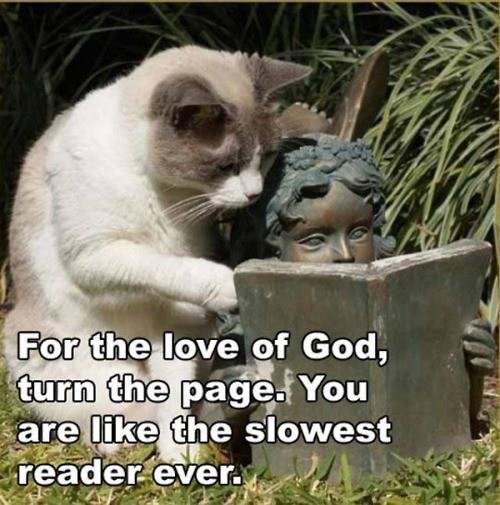 Kayla Ackerman's album, Timeline Photos