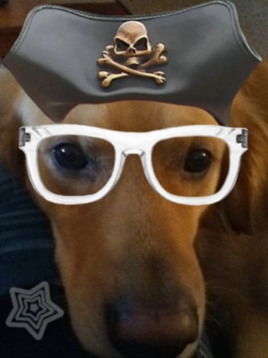 John Andruskiewicz's album, Profile Pictures