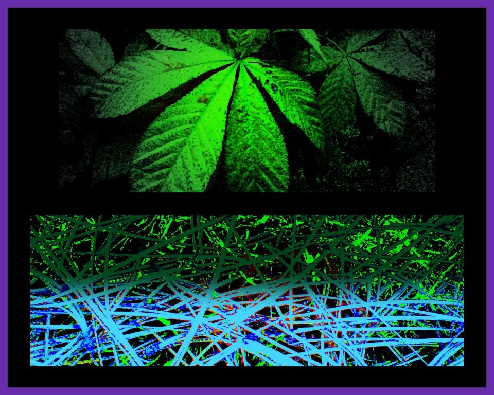 Ron Casados' album, Cover Photos