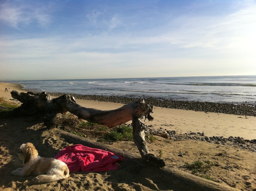 Brenda Sardagna's album, Mobile Uploads