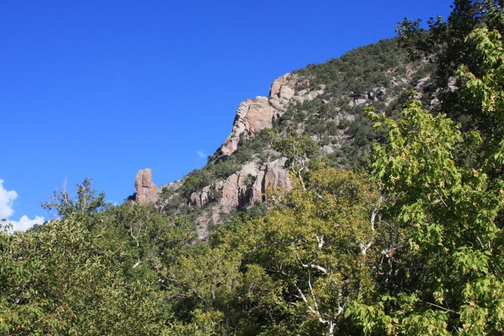 Scott MacFarlane's album, Catwalk, NM