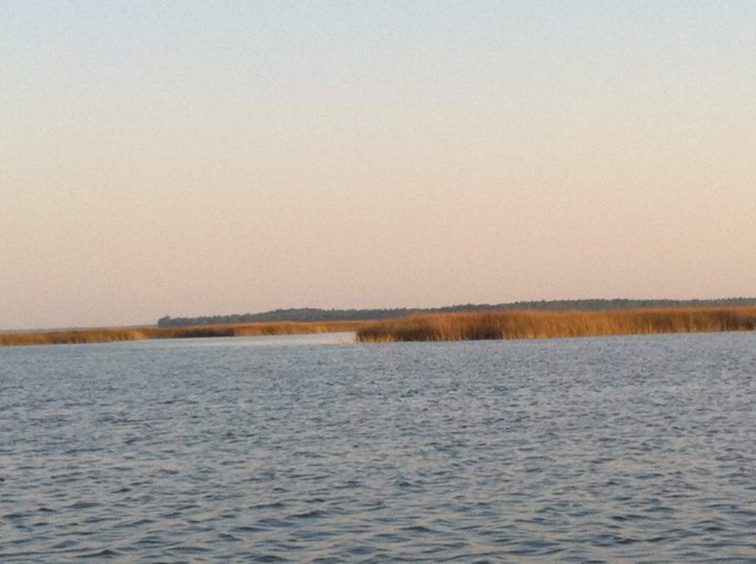 Ray Brackin's album, Fishin 2010