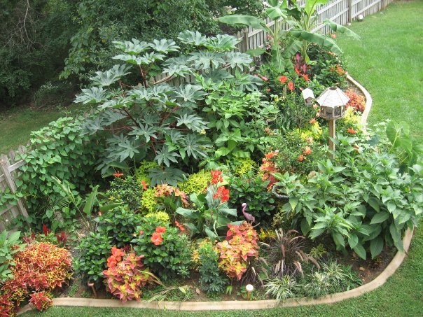 Sharon Moore's album, Missing My Garden