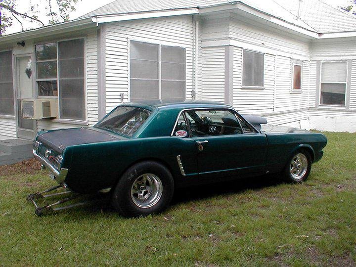 david arp's album, Timeline Photos