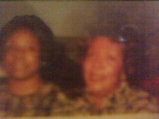 Erta Johnson's album, Mobile Uploads