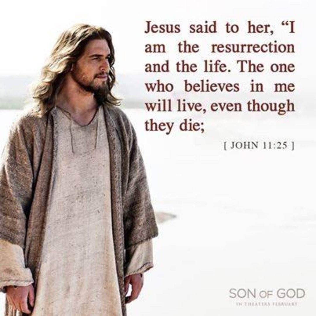 Tammy Ramirez's album, Timeline Photos