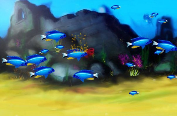 Barbara Malinowski's album, Fish Life Photos