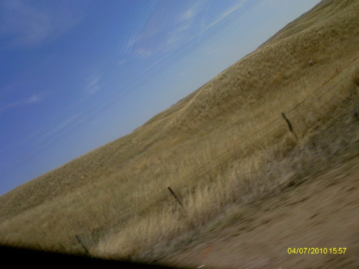 Douglas Heller's album, SpringBreak 2010 - Day 3