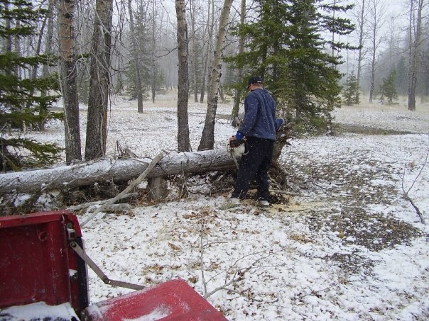 Brian Castle's album, spring camping A.K.A. the april blizzard 2008