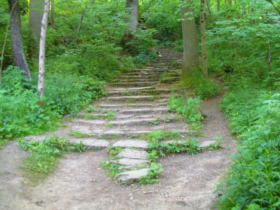 Jane Howard's album, John Bryan State Park, Clifton Gorge and Glen Helen