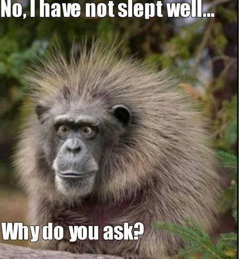 Alan Gray's album, Timeline Photos