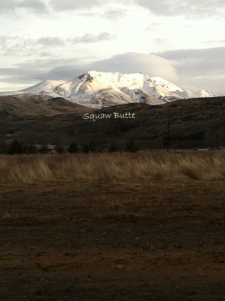Lynn Sullivan's album, Cover Photos