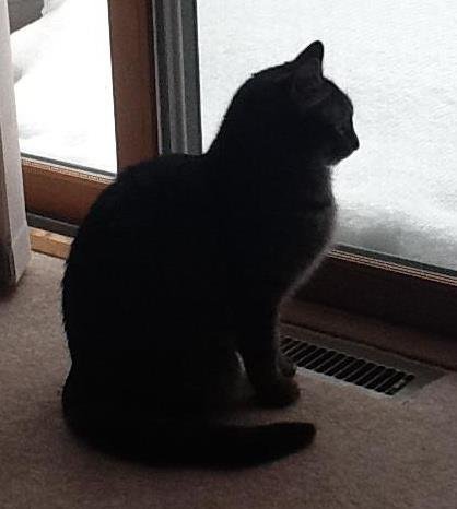 Prudence Labelle's album, Profile Pictures