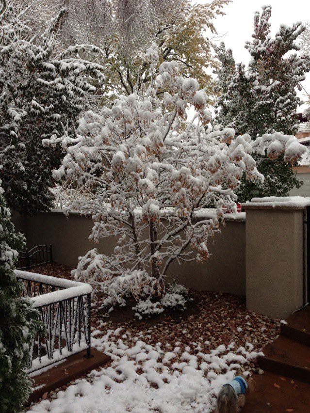 Lynn Plummer's album, iOS Photos