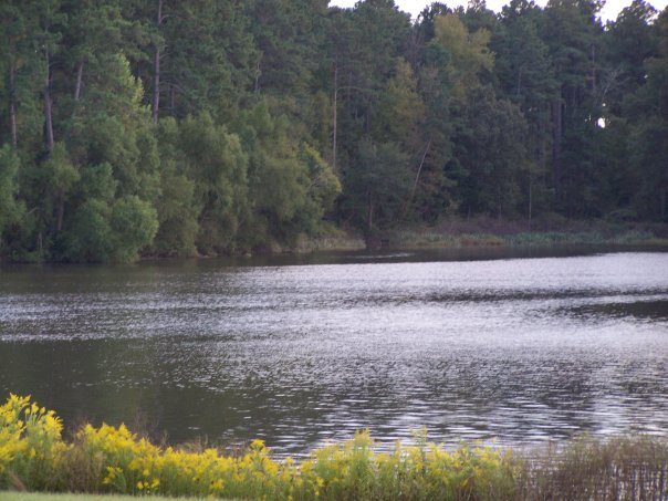 Christine Jennings' album, Ivan Lake 10-2009