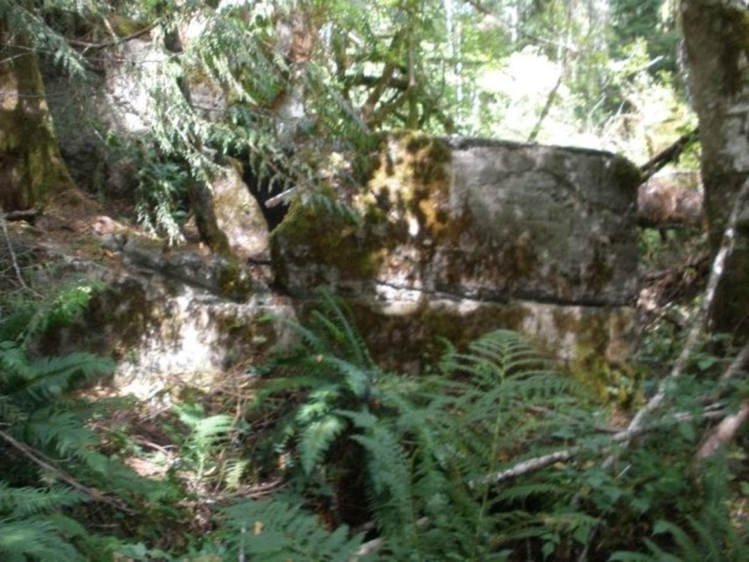 Susan Foley's album, Hiking at Wildwood Rec area and Mirror Lake