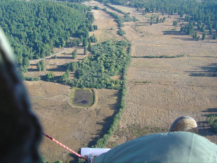 Neil Sharaf's album, Mendo flying