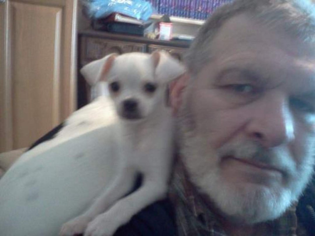Tom Randles' album, Mobile Uploads