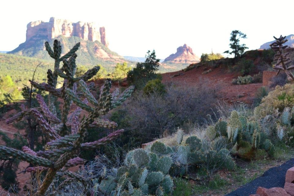 Kim Bernhardt's album, AZ 2013