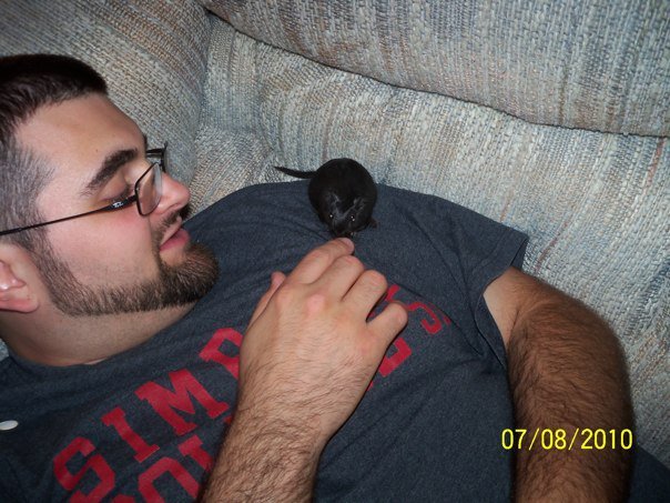 Lisa Risvold's album, Travis_Gerbils
