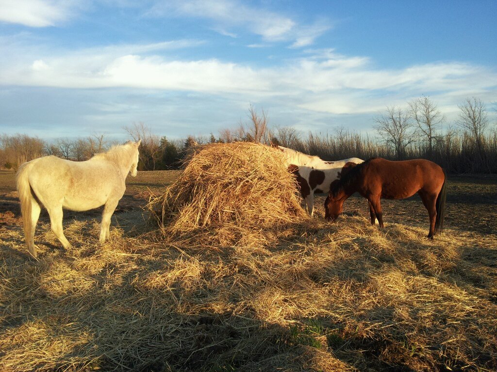 Deb Stover's album, Mobile Uploads