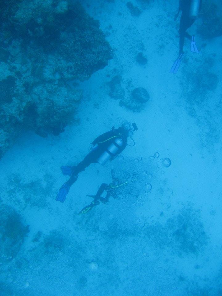 Monica Braley's album, Cozumel March 2012