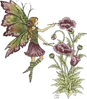 Debra Walsh's album, My Garden