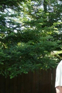 Larry Phillips' album, Profile Pictures