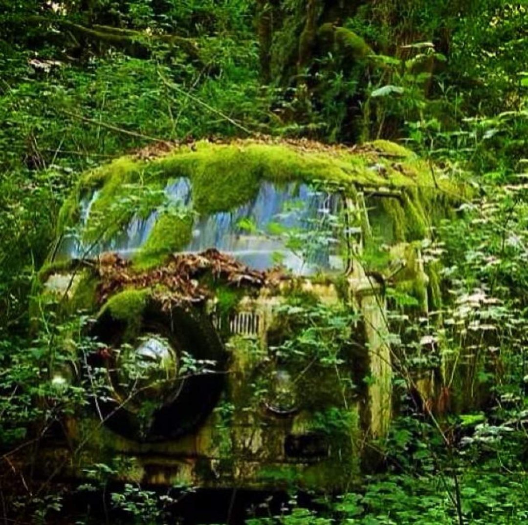 Greg Boam's album, Mobile Uploads