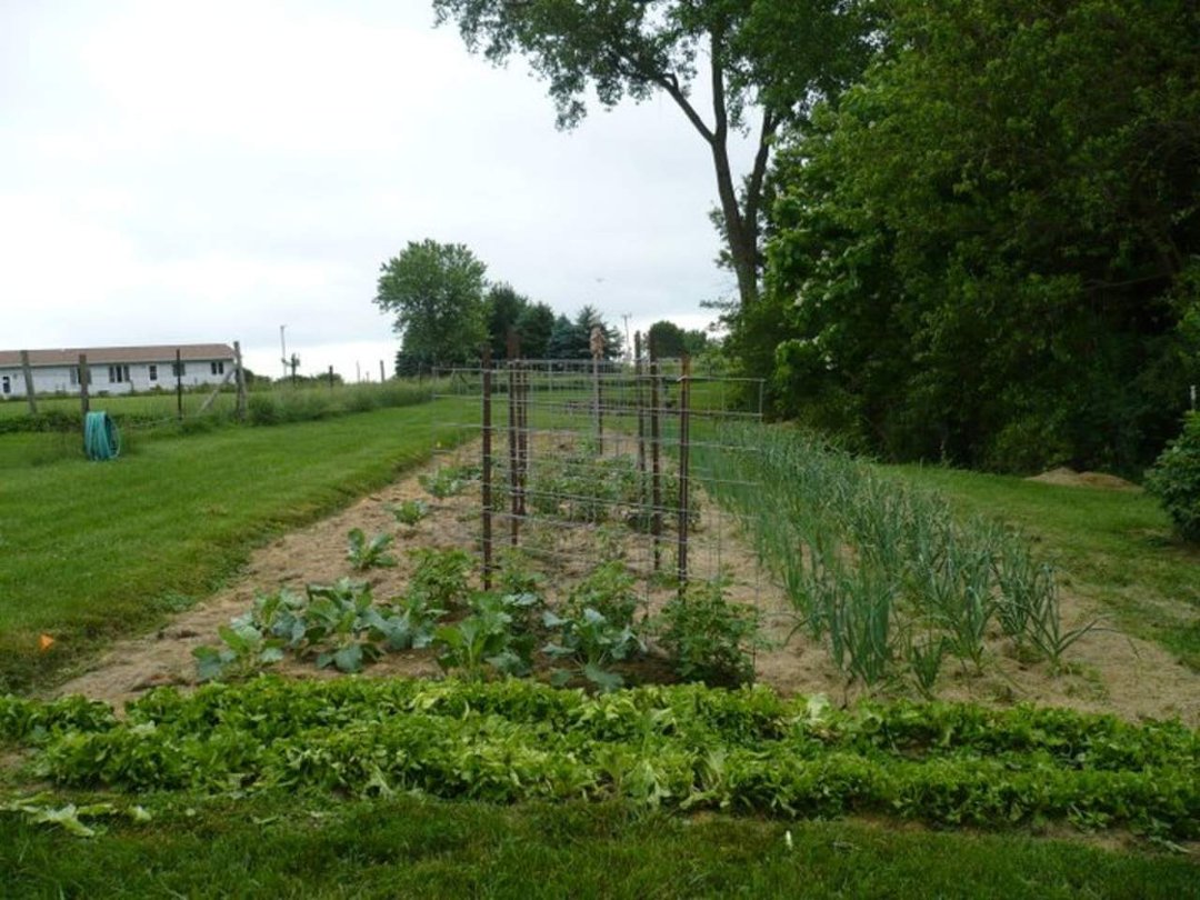 Vern Barry's album, 2011 Garden