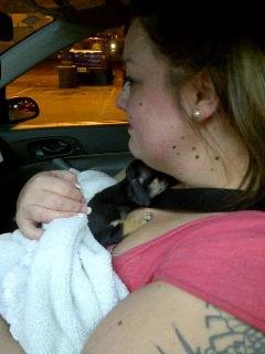 Brandy Chumley's album, Mobile Uploads