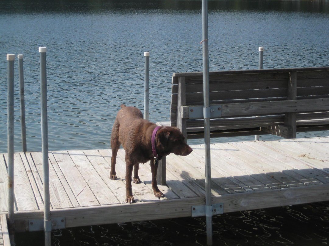 Nelson Acosta's album, Wisconsin Lakehouse weekend