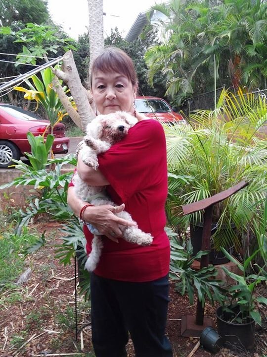 Ginger Duhaylonsod's album, Mobile Uploads