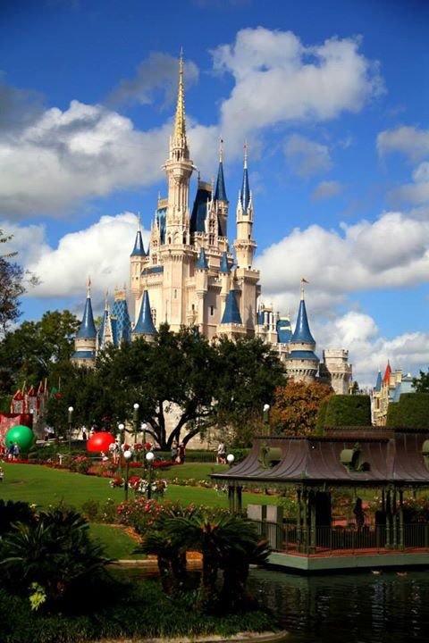 Rick Fox's album, Day 2 at Disneyworld