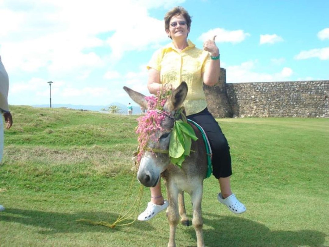 Diane Meyer's album, Profile Pictures