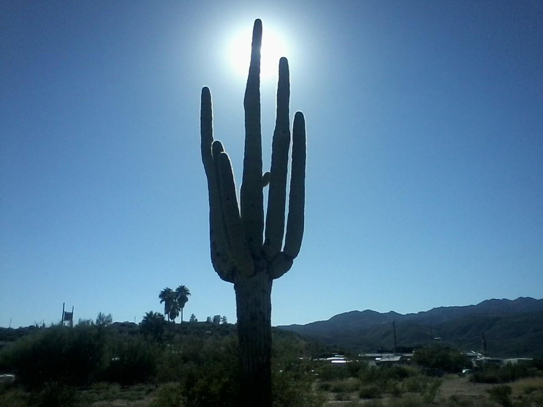 kathy sharpe's album, Mobile Uploads
