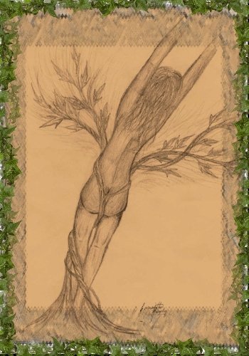Sandra Murphy's album, Hot art