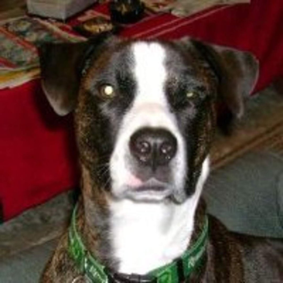 Scott Ritchie's album, Profile Pictures
