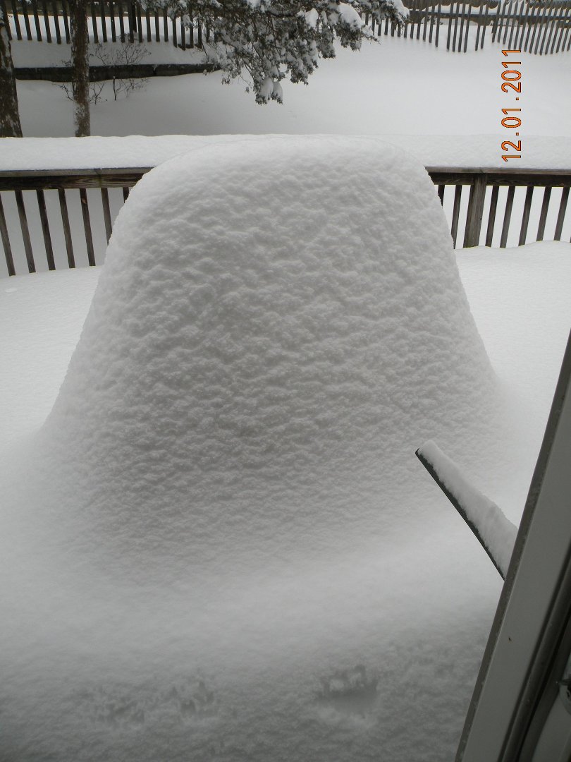 David Albin's album, 1-12-2011 Snow!!
